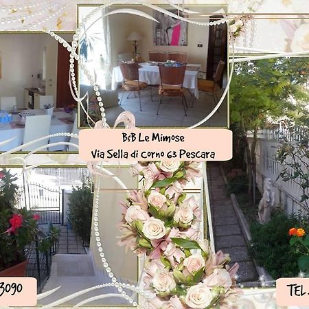 Le Mimose Bed & Breakfast Pescara Exterior photo